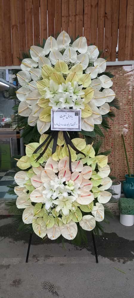 عشق و زیبایی را به خانه‌هایتان هدیه دهید!