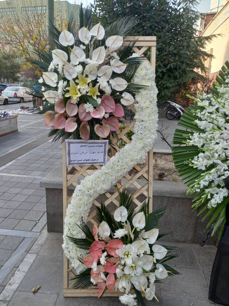 به دنبال گل‌هایی هستید که خاص و زیبا باشند؟