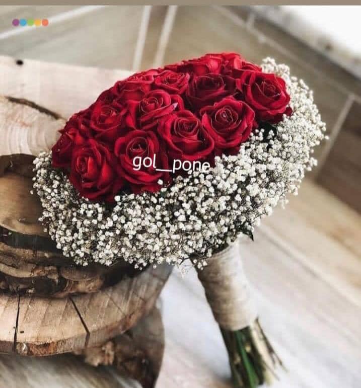 گل فروشی پرنیا در تهران