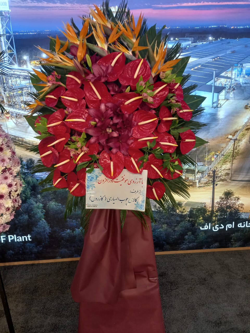 تنوع بی‌نظیر